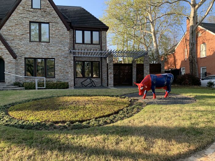 Vaca araña (frente a una casa de 1.9 millones de dólares)