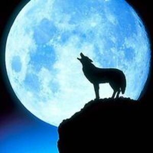 sean_atkinson avatar