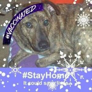 heather_anderson_1 avatar