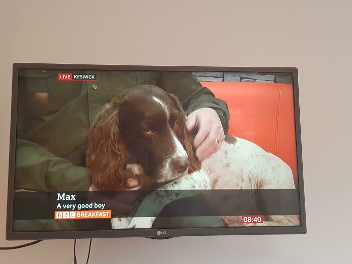 Its Content Like This That I Tune Into Bbc Breakfast For