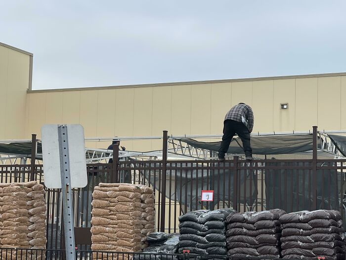 Walmart Seasonal Workers Putting Up Tarps For The Outdoor Plants Sections On Top Of A 12 Foot Fence