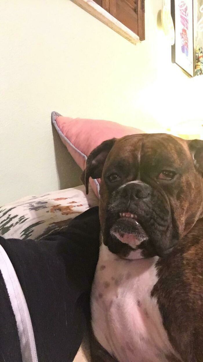 The Ultimate Derp