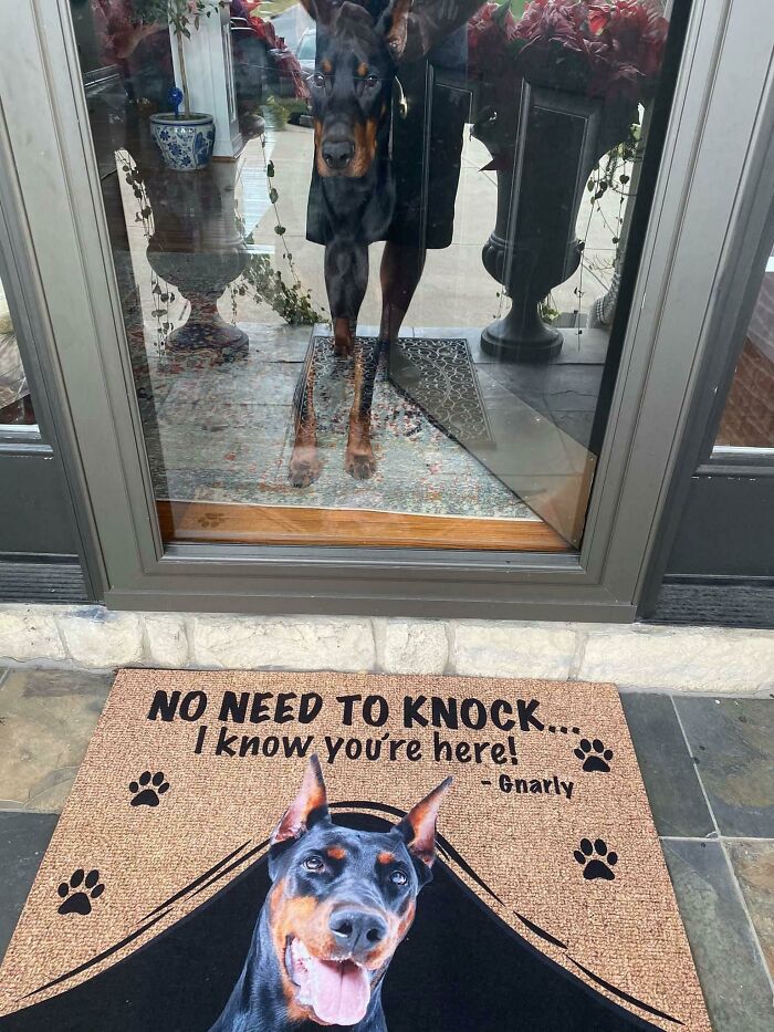 The Dog Is The Doorbell