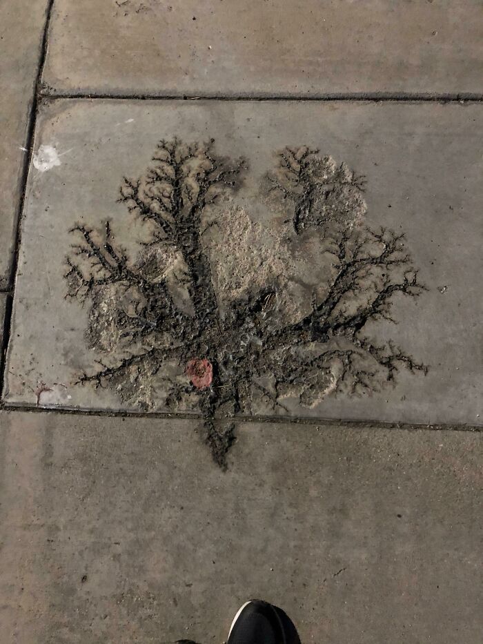 Believe This Might Be A Lightning Strike On A Concrete Sidewalk