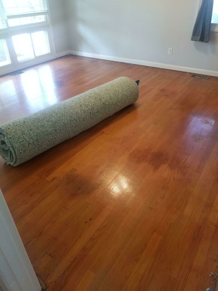 Pulled Up The Old Carpet To Put Down New Carpet (Which Was Already Paid For/Measured/Cut) And Found Out The Wood Floors Are Actually Pristine Underneath. $2300 In Carpet Well Spent