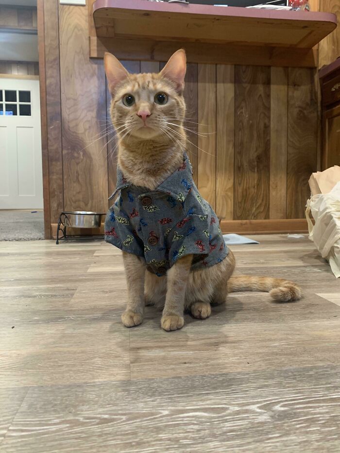 Someone Has A Birthday Tomorrow! 💕 Tell Him He Looks Cute In His Party Shirt!!