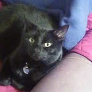 patricia_bilger avatar