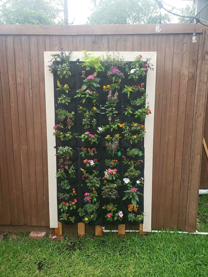 First Vertical Garden. What Do You Think?