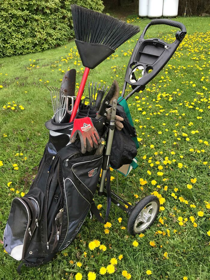 Re-Use An Old Golf Bag For Gardening Tools