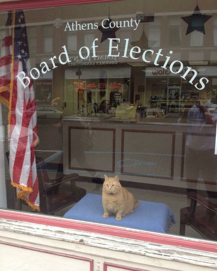 The Elections Are In Good Hands