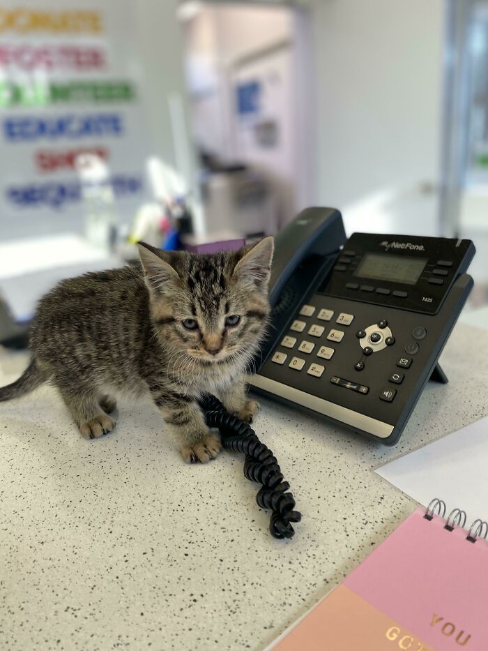 Our New Receptionist Started Today.. I Feel Like She Lied About Her Experience On Her Resume
