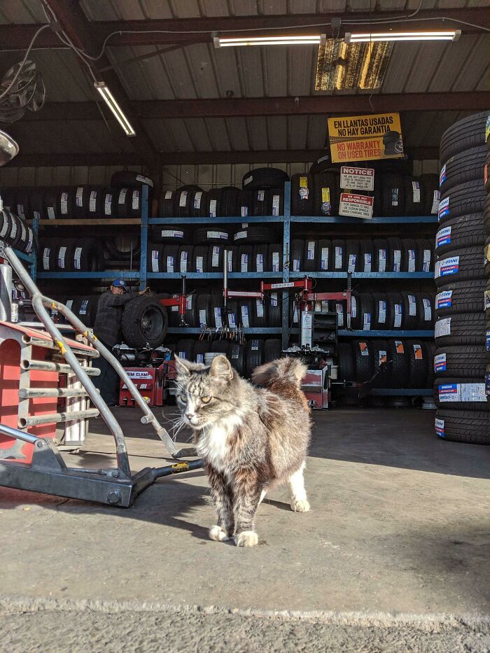 Owner/Shop Manager For 14 Years