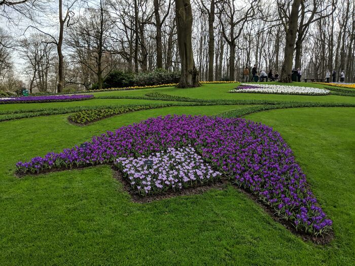 The Tulips In This Garden Are Arranged In The Shape Of Tulips