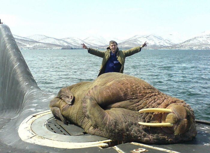 This Absolute Unit Blocks The Way Into The Submarine