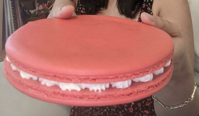 I Was Told This Sub Would Appreciate This Absolute Unit Of French Macaron I Made 