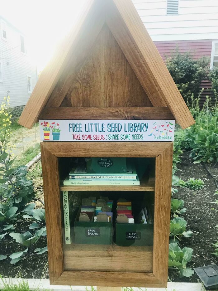 Last Spring I Converted Our Front Lawn To A Vegetable Garden. Today We Opened A Little Community Seed Library To Encourage Neighbors To Get Growing Too