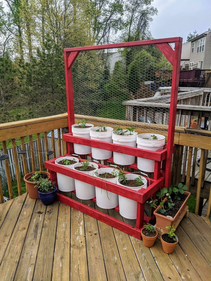 I Have A Townhouse And Outdoor Space Is Limited. This Is What My Wife And I Built. Really Excited To Grow More Than A Few Vegetables