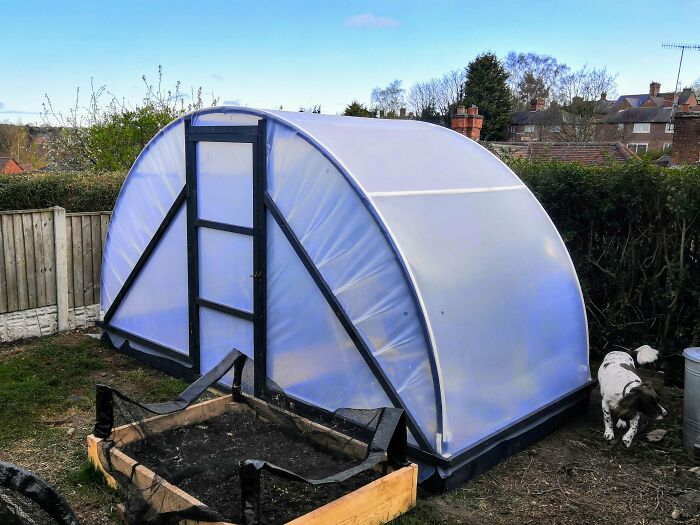 I Built An Upcycled Trampoline Polytunnel. Bring On The Veggies