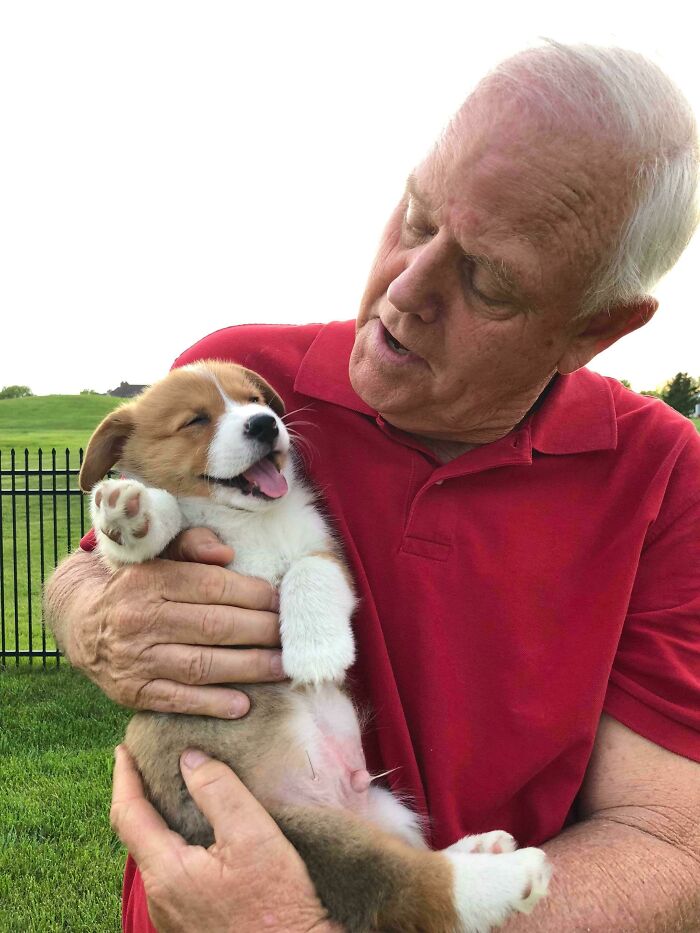 My Dad Meeting His First Granddogger