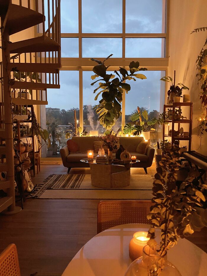 Cozy Sunday Evening With My Plants