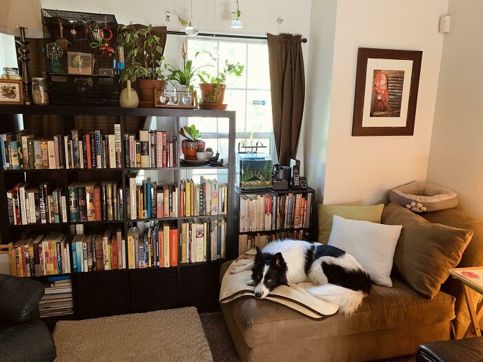 My Cozy Reading Area