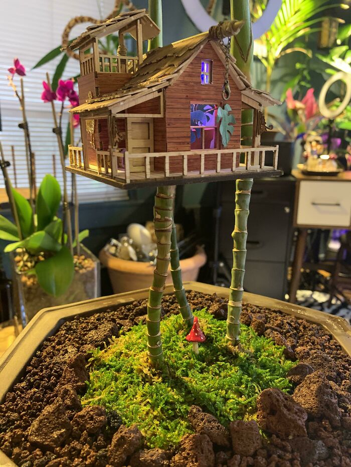 Made A Mini Treehouse For My Palm Trees:)