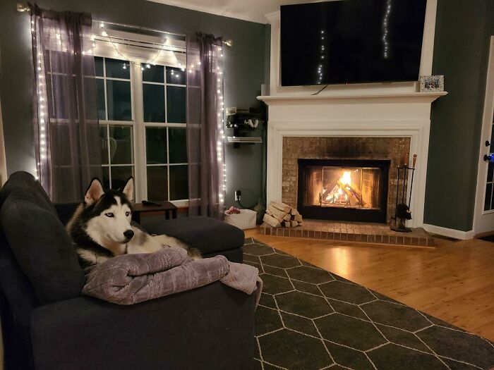 Our Cozy Living Room In Colorado