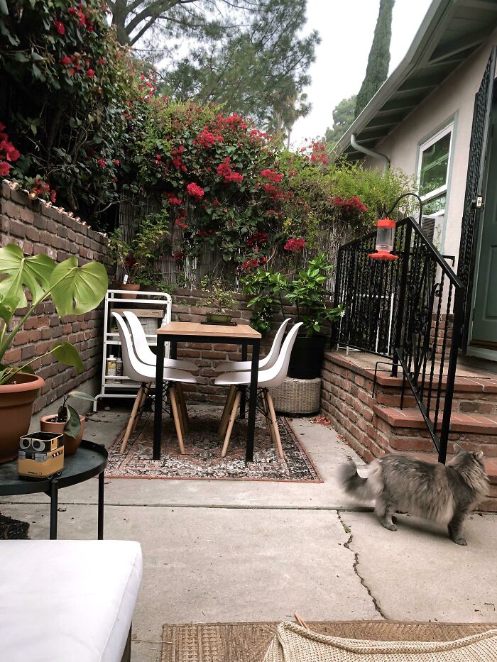 Dreary Morning Calls For Tea On The Patio, La
