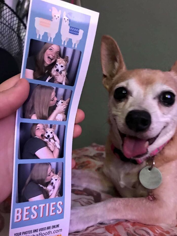 Snuck My Dog Into The Photo Booth At The Mall To Get These Done For Her 16th Birthday! Birthday Boy, Taco