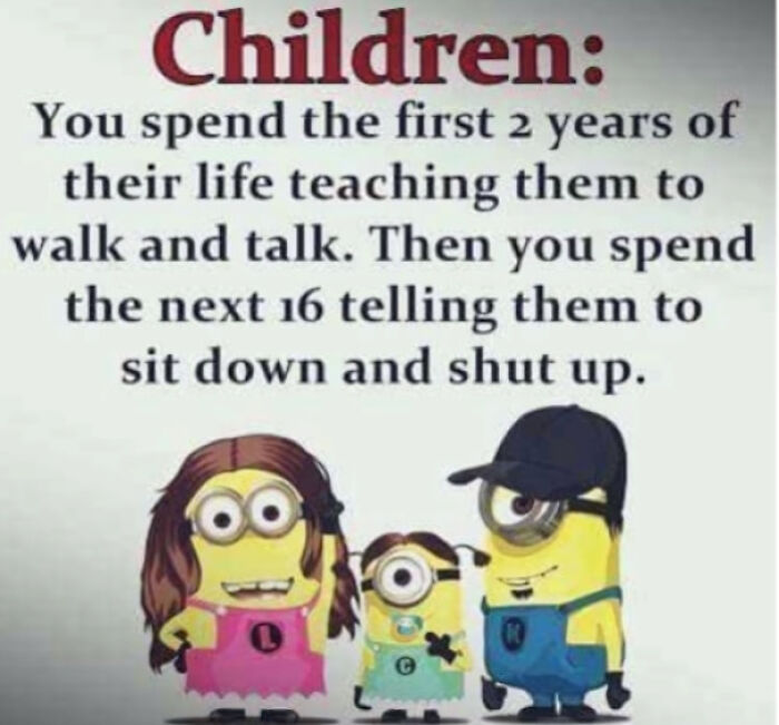 Why Is It Always The Minions?