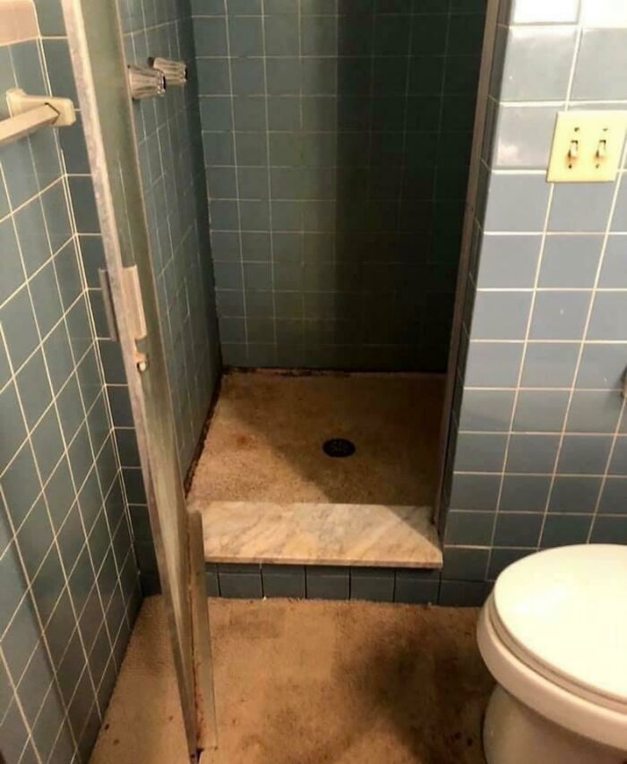 Introducing The Carpeted Shower Floor