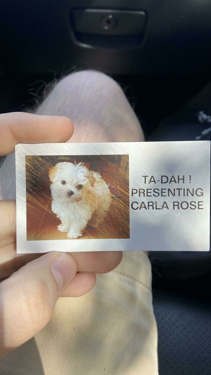 Found On The Floor Of A Target. Meet Carla Rose