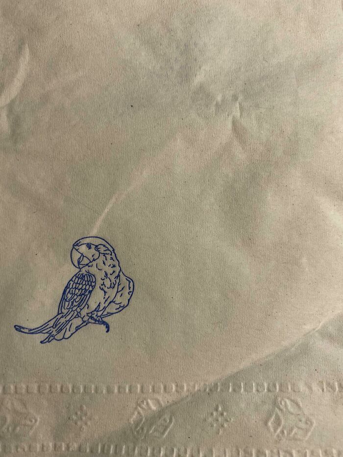Found A Parrot Doodle On A Napkin
