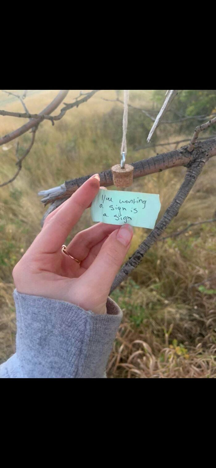 Found Hanging On A Walking Trail