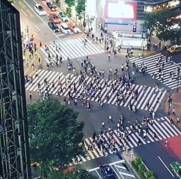 There Are More Than 300 Pedestrian Scrambles In Japan