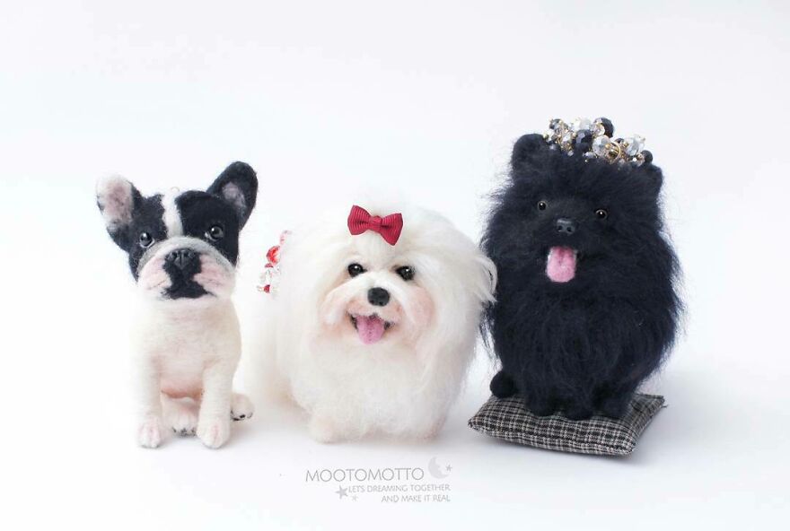 All Doggies From Real Look Series 💞😀
#reallookseriesmootomotto #needlefelted #frenchbulldog #maltese #pomeranian