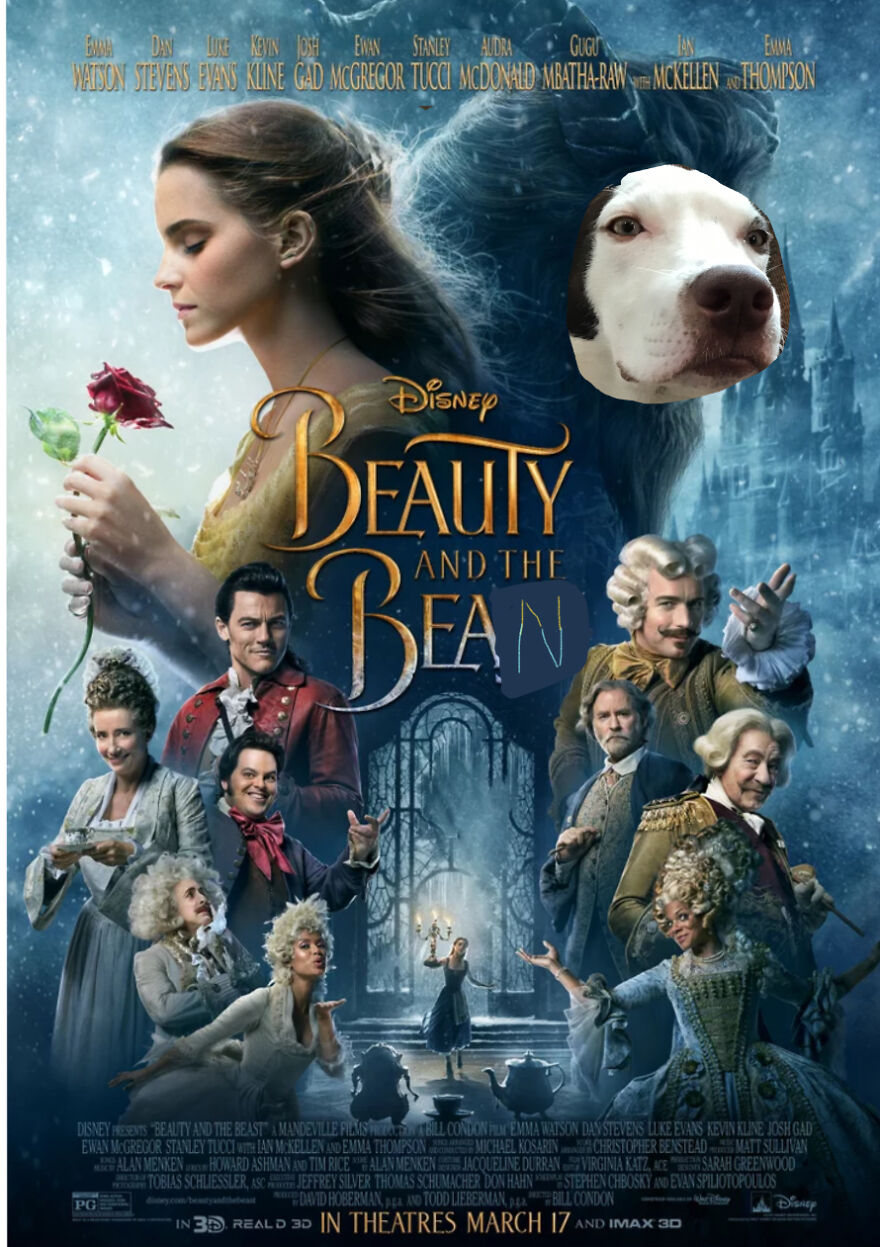I Spent 30 Minutes Of My Life Creating Movie Posters With My Dog