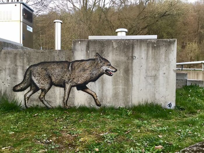 Artist Makes Streets Less Boring By Making Graffiti That Interacts With The Surroundings (30 New Pics)