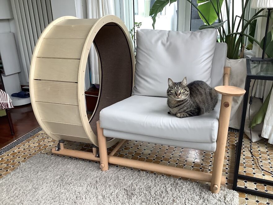 A Chair With An Integrated Running Wheel Was Invented For Cat Lovers