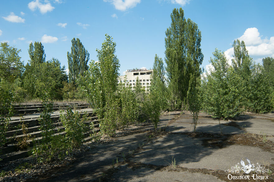 Vegetation Overgrows The Streets Of The Town Of Pripyat, With Hotel Polissya In The Distance