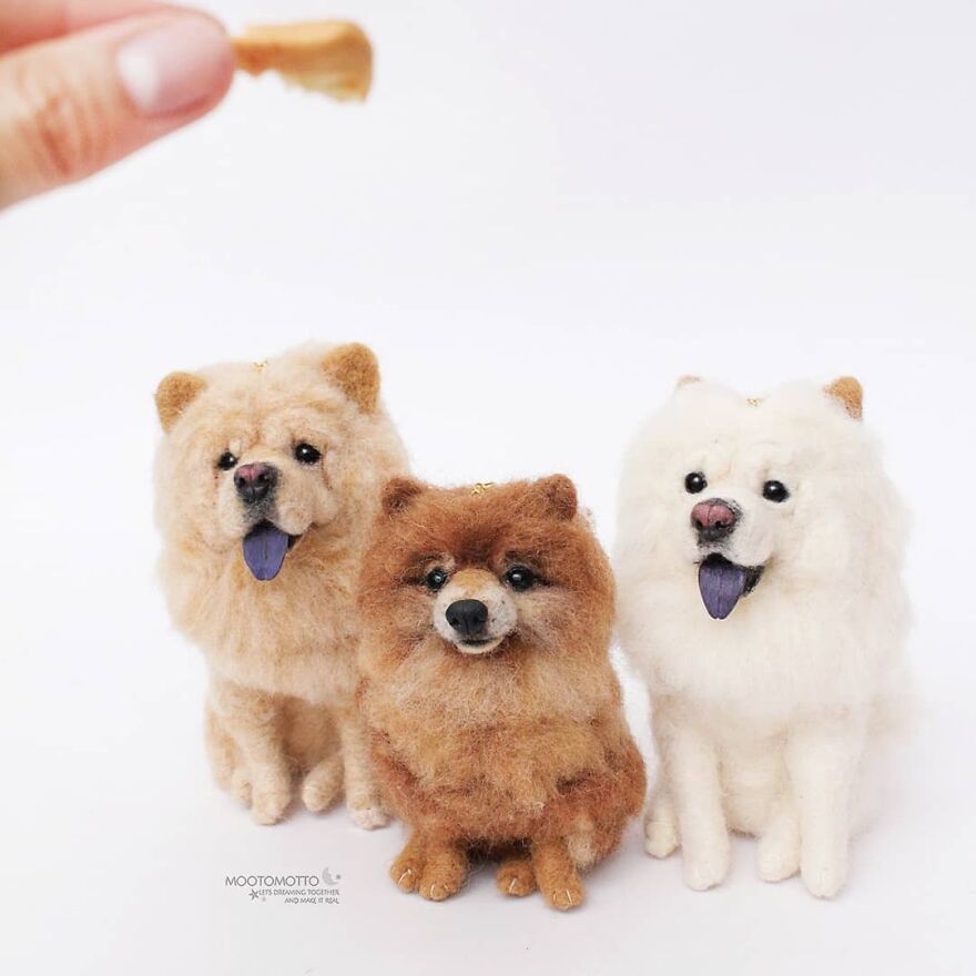 If You Have A Dog, You Will Know How Hard To Take A Pictures Of Them! 😫 And One Of The Best Way To Make Them Focus Is Treats 🤤😝🖤
.
saturday Gank:
chow-Chow And Pom🐶🐶🐶🖤
.
#reallookseriesmootomotto #chowchow #pomeranian