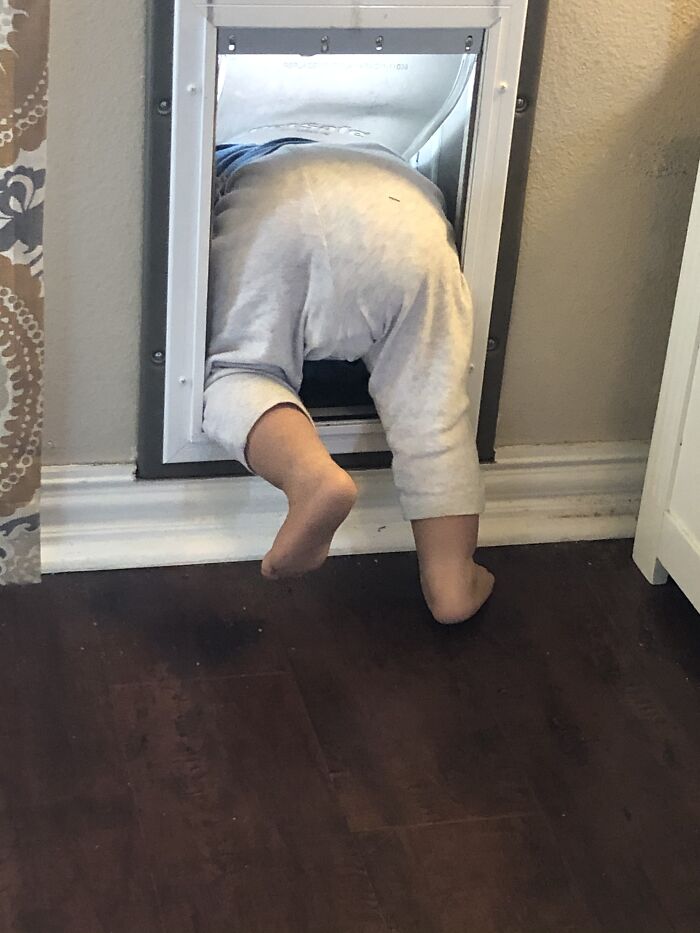 The Baby I Care For Figured Out How To Go Out The Doggie Door!