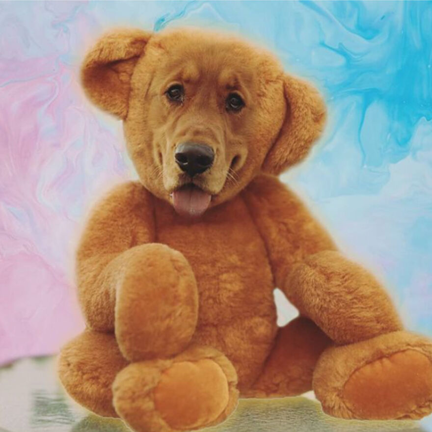 The Worlds Cuddliest Dog Teddy Bear