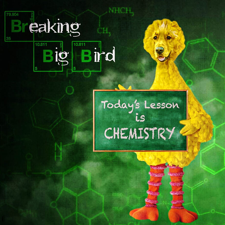 Life Lessons With Breaking Big Bird