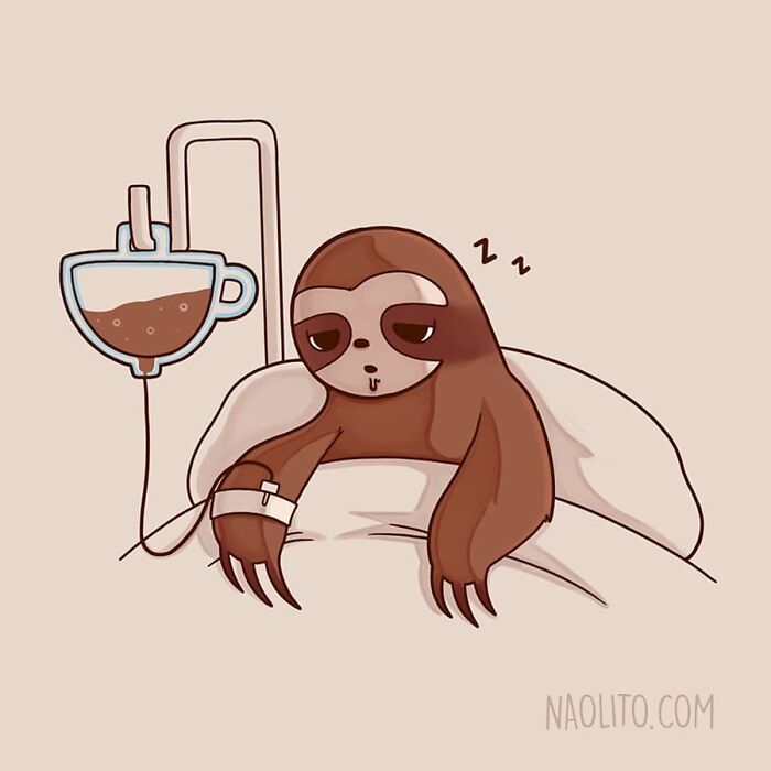Slow Morning, Everyday 😅
#coffee #coffeetime #coffeelovers #coffeeaddict #morecoffee #cute #kawaii #aww #sloth #slow #awesome #indieart #print #artprint #cutenessoverload #coffee_inst
