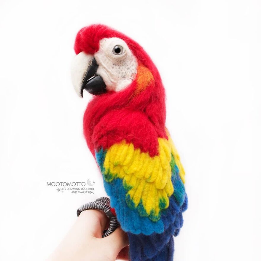 I Post Rainbow To Brighten Up Your Day ❤️💛💙💚🕊️
.
first-Time Making Real Look Bird, What Do You Think Guys? 😀💙
.
#scarletmacaw #reallookseriesmootomotto #bird #needlefelt