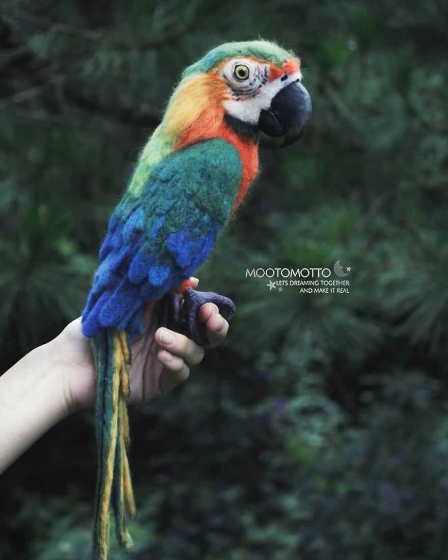 Gia The Catalina Macaw 🐦❤️
#catalinamacaw #reallookseriesmootomotto #needlefelt