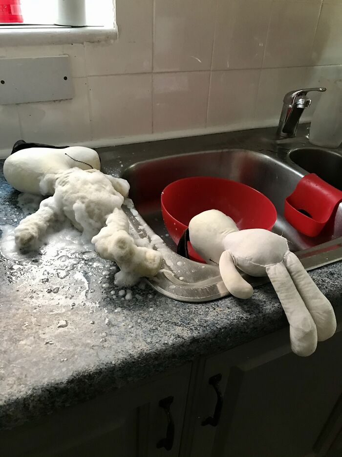 40 Plus Year Old Snoopy’s Having A Wash!