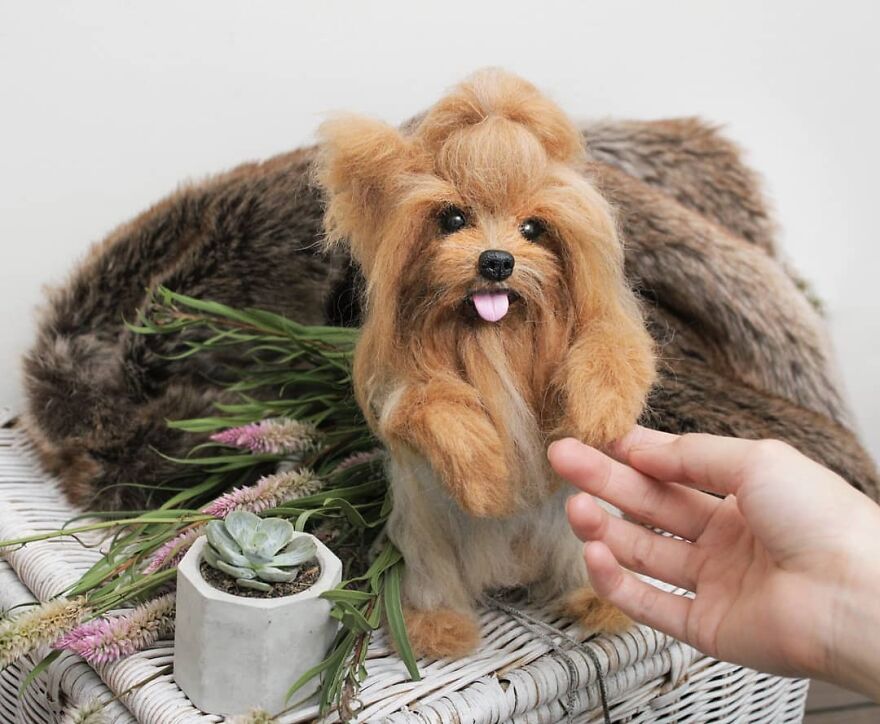 How About Indoor Picnic Due This Pandemic? 😂
don't Forget To Greatfull ❤️
happy Quarantine Weekend!
.
#reallookseriesmootomotto #yorkie #needlefelt