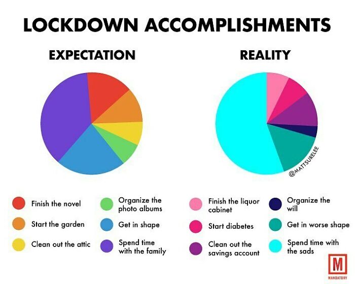 Lockdown Accomplishments Theory vs. Reality. I Made This For My Friends At @mandatorydotcom